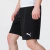 Puma Men's Summer Knit Shorts