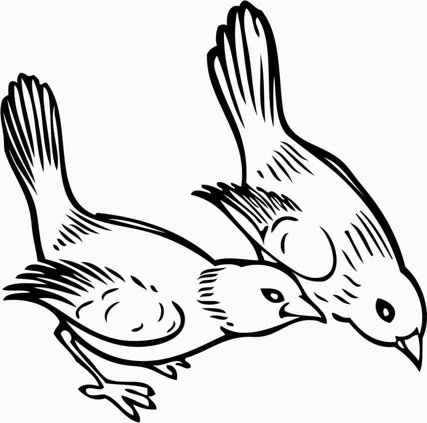 Printtoo Birds Pattern Scrap-booking Square Brown Wooden Rubber Stamp Craft Stamps-2 X 2