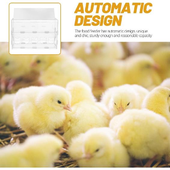 POPETPOP Quail Transparent Feeder Rutin Chicken Feed Box Chick Small Bird Food Water Container for Chicks/ducks/quail/rutin Chicken Brooder Box