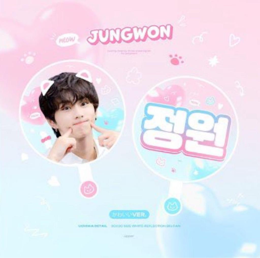 [USED] Enhypen Jungwon Fan Master Pink Blue