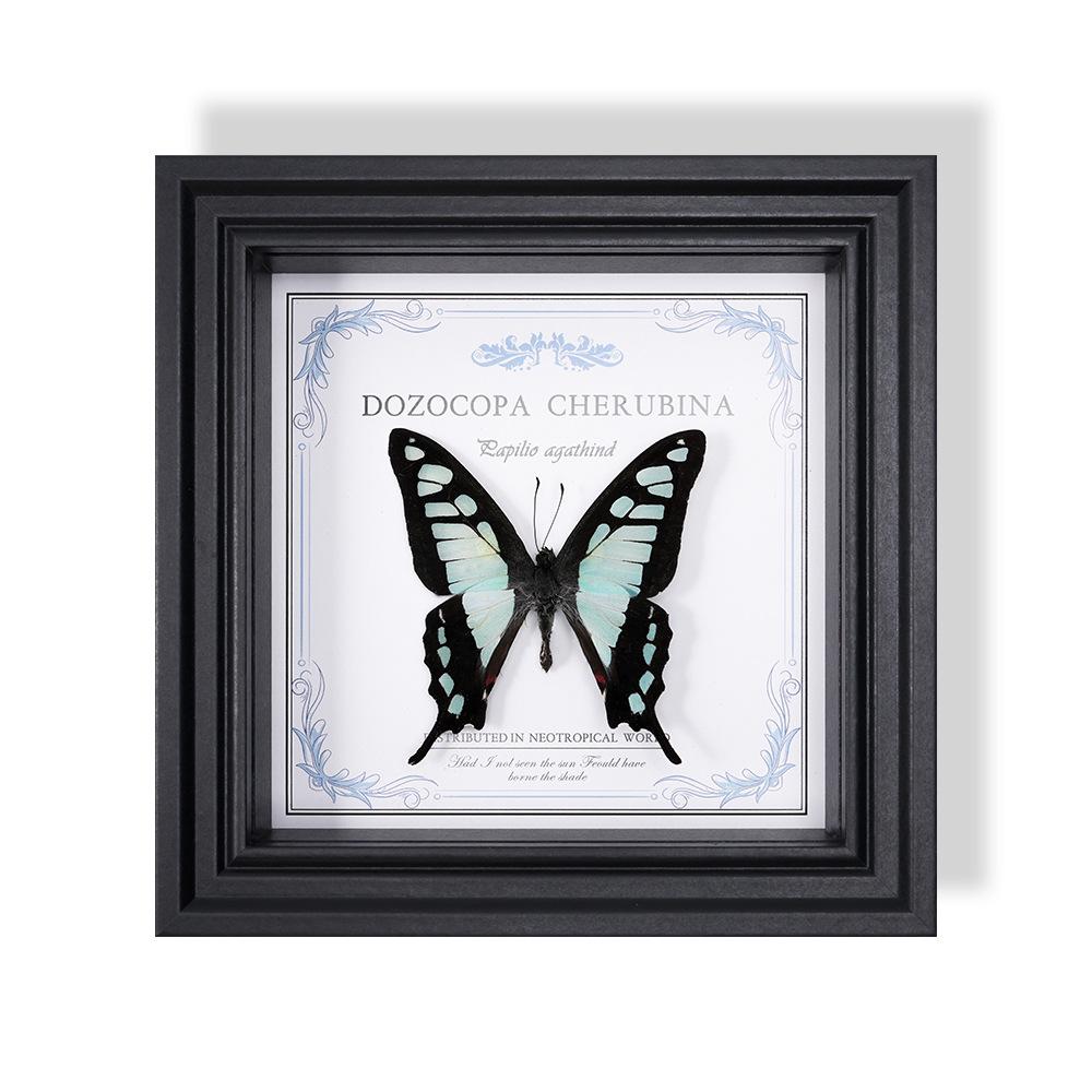 Wall-Mounted Butterfly Specimen Photo Frame: Home Decor & Gift for Valentine's Day, Qixi, Birthday, Couples & Insect Lovers