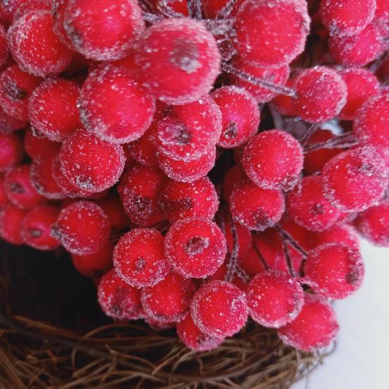 10 bucăți fructe artificiale fructe de pădure DIY Stage Home Garden Holiday Party Craft Decor