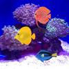 Artificial Moving Fish Floating Silicone Fish with Suction Cup Fishing Line Lifelike Aquarium Decorations for Fish for T