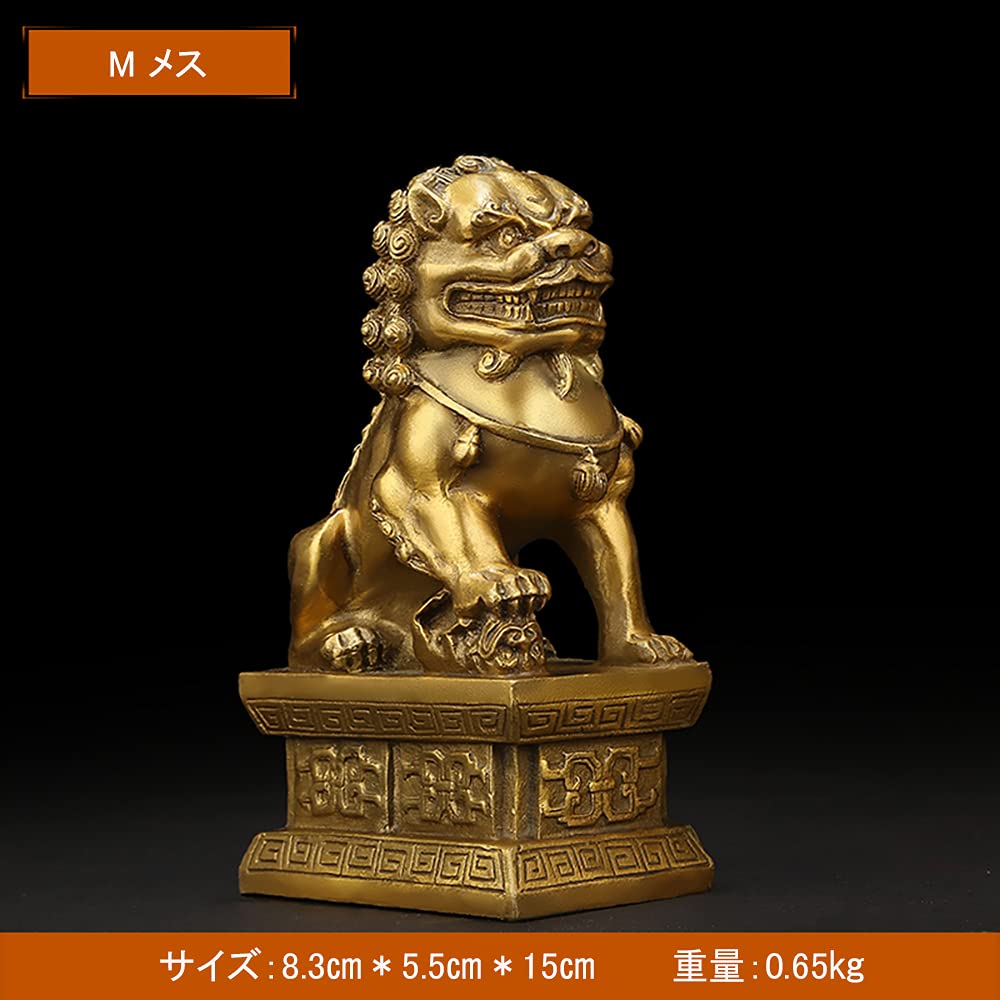 Lion and Guardian Dog Statues and Female Made of Feng Shui for Attracting Business Protection Against Evil Set of Luck Feng Shui Financial Gambling