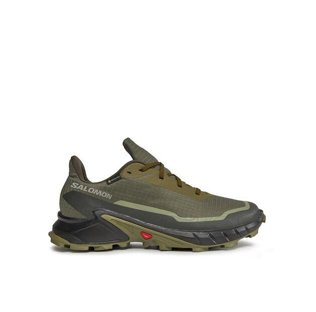 Беговые кроссовки Salomon Alphacross 5 Gtx GORE-TEX EU 40_2_3