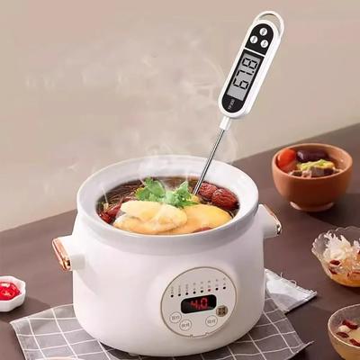 TP300 Sonde Lebensmittelthermometer Elektronisches Display Edelstahl Lange Sonde Digitales Lebensmittelthermometer Genaue Lebensmittelsonde Kochen