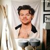 Harry Styles Wall Tapestry Aesthetic Wall Hanging Printed Fabric Blanket Decorative Tapestries for Bedroom Living Room Home Decor