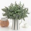 Eucalyptus Plant Globulus Foliage For Home Enhancement Photography Prop