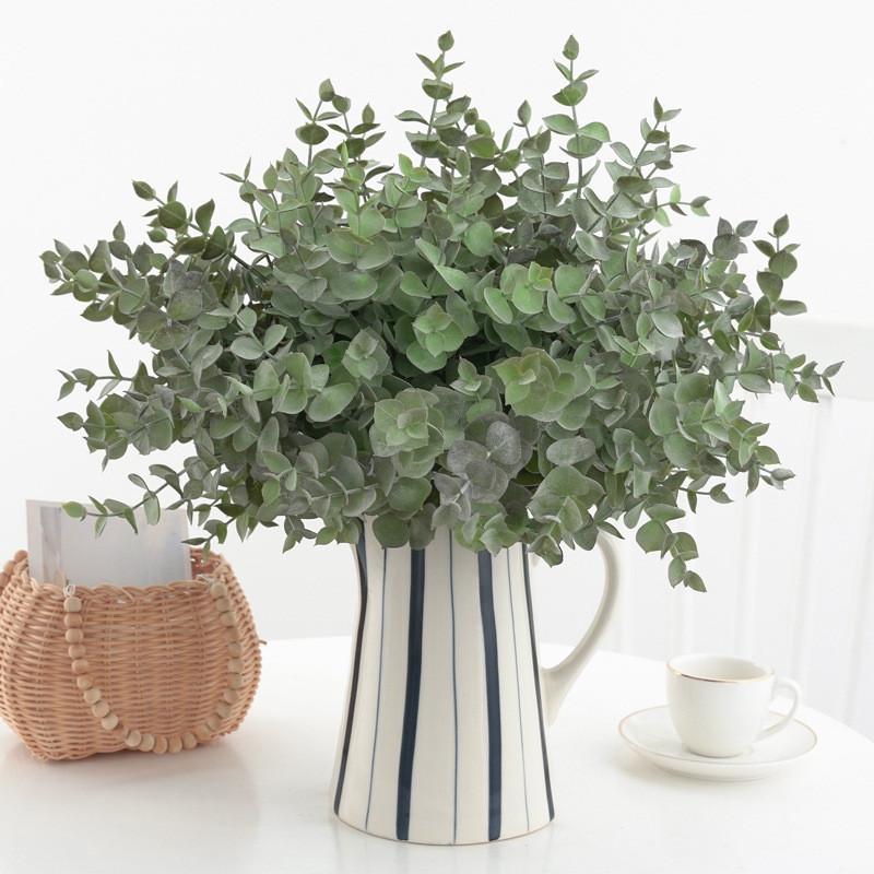Eucalyptus Plant Globulus Foliage For Home Enhancement Photography Prop