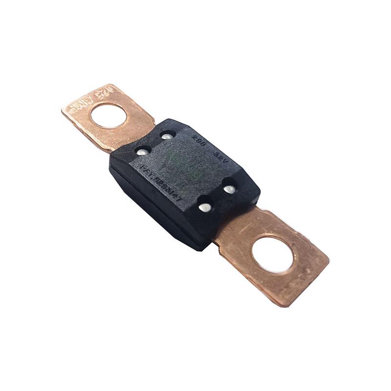 Huadema 80A Automotive Fuse