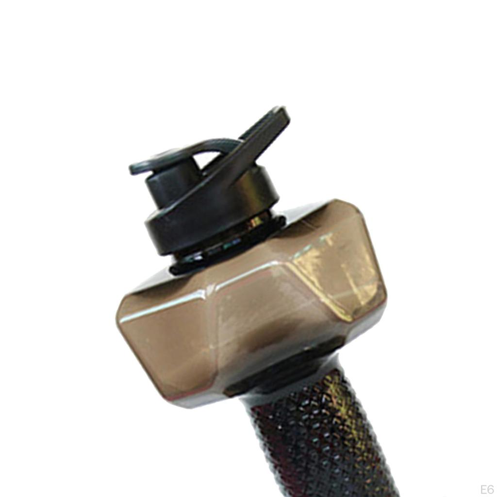 Companion for Fitness Enthusiasts