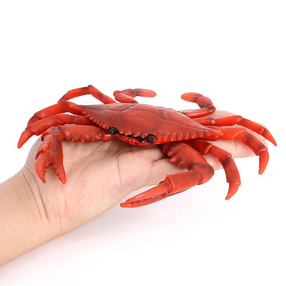 Educational Toy Scenes Making Sea Animal Figurine Red Crab Model Simulation Crabs Kids Cognition