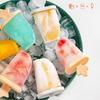 with Stick Popsicle Mold with Lid Frozen Ice Box Durable Popsicle Mold Cube Tray  Summer Season