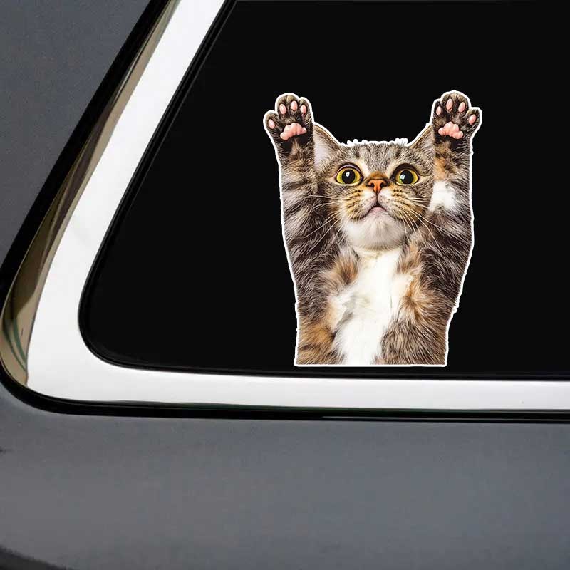 Funny Cat Car Sticker Vinyl Decal Waterproof Rear Window Motorcycle Camper Bumper Truck Laptop Decoration Y22