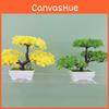 Plumosus Apargus Baker Plastic Faux Bonsai For Indoor Decoration Tabletop