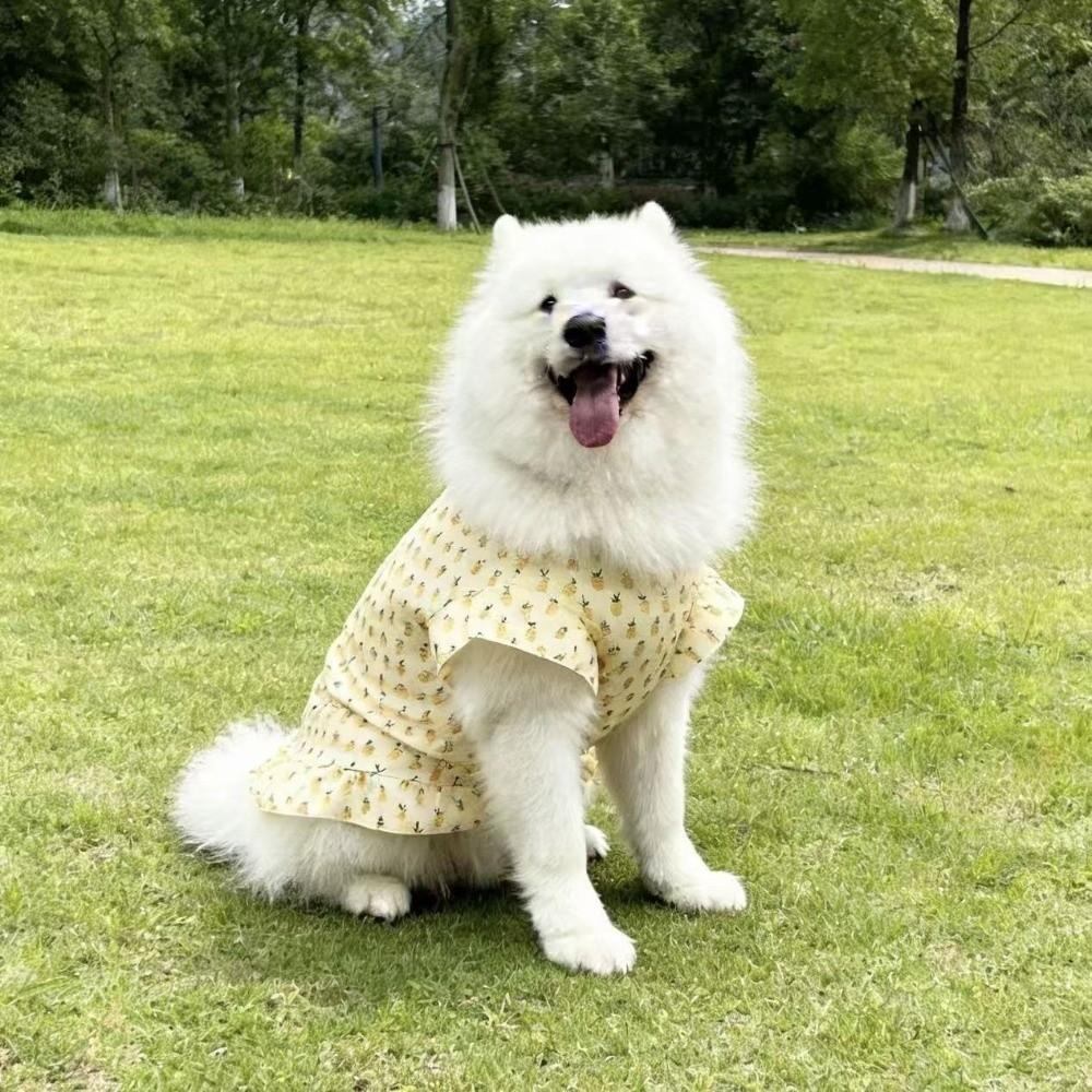 Thin Breathable Dog Floral Skirt Fruit Print Dog Cooling Clothes Pet Pullover Spring Summer