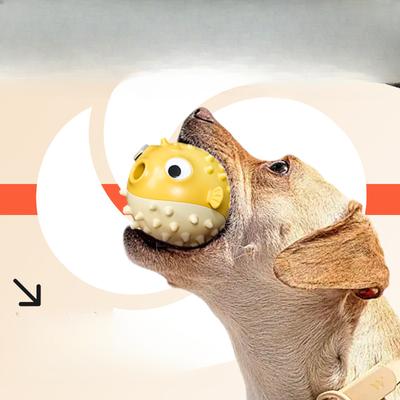 Psi – Hračky pro psy