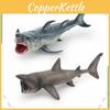 Marine Animal Shark Model For Kids Educational Pvc Display Toy