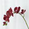 Lan Kwai Fong Luxurious Phalaenopsis Artificial Flowers for Living Room Decoration