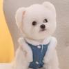 Windproof Dog Hiking Jacket Winter Dog Vest Coat Fashion Dog Bodysuit for Small Medium Dog
