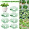 1/3 Stück Runde Pflanzenuntersetzer Ständer zum Schutz von Erdbeeren vor Schimmel, Fäulnis und Schmutz
