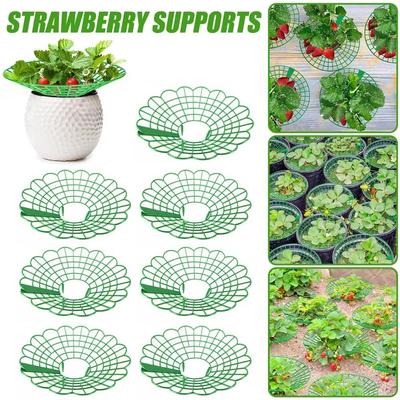 1/3Pcs Anti-ground Strawberry Stand  for Protecting Strawberries from Mold Rot and Dirt