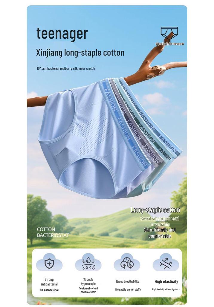 Comfortable Antibacterial Cotton Briefs for Teen Boys with Simple Lettering