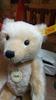 [USED] Steiff Classic Teddy Bear