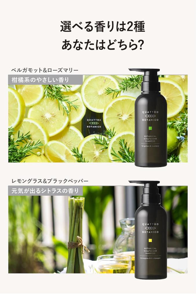 Quattro Botanico with Gift Amino Botanical Scalp Hair Lemongrass Dense Scalp Gift Idea Men's Shampoo, 300mL, Wrapping, Acid-Based & Shampoo, Scent,