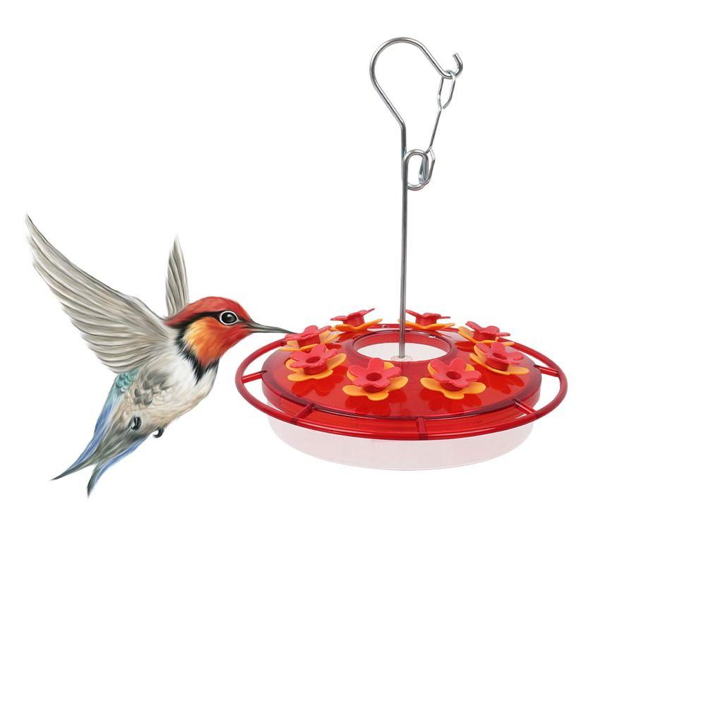 

with 8 Feeding Bird Feeder Plastic Hummingbird Drinker Hummingbird Feeder Bird Watchers