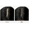 The Face Shop Quick Hair Puff 7g (4colors)