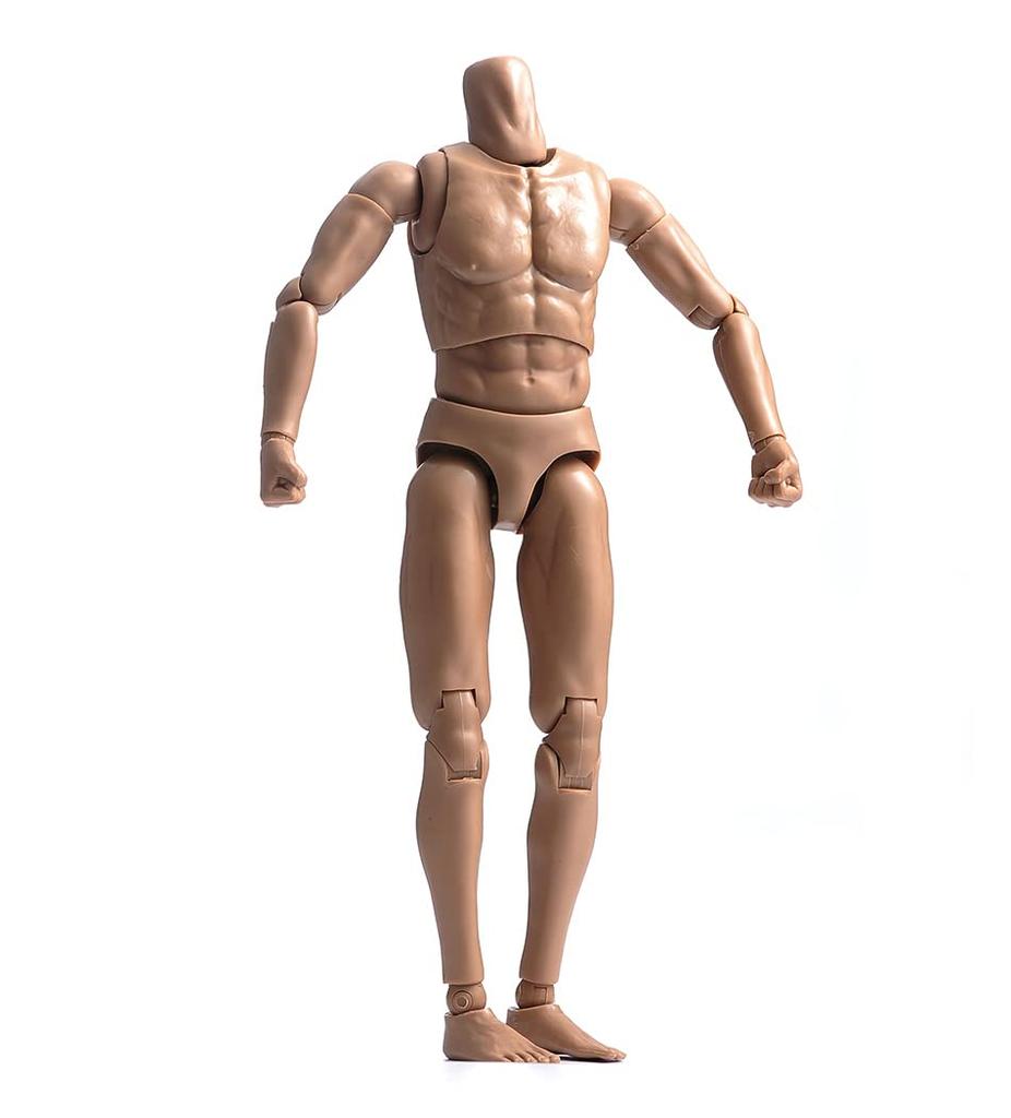 12-inch Male Soldier Body Model, Muscular Male Body Model, Fits 1/6 Head Sculpt, Action Figure Body