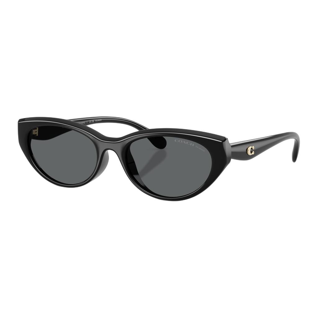 Coach 8456D Cat Eye Sunglasses With Logo Unisex Sunglasses Black Polarized 0HC8456D-500281