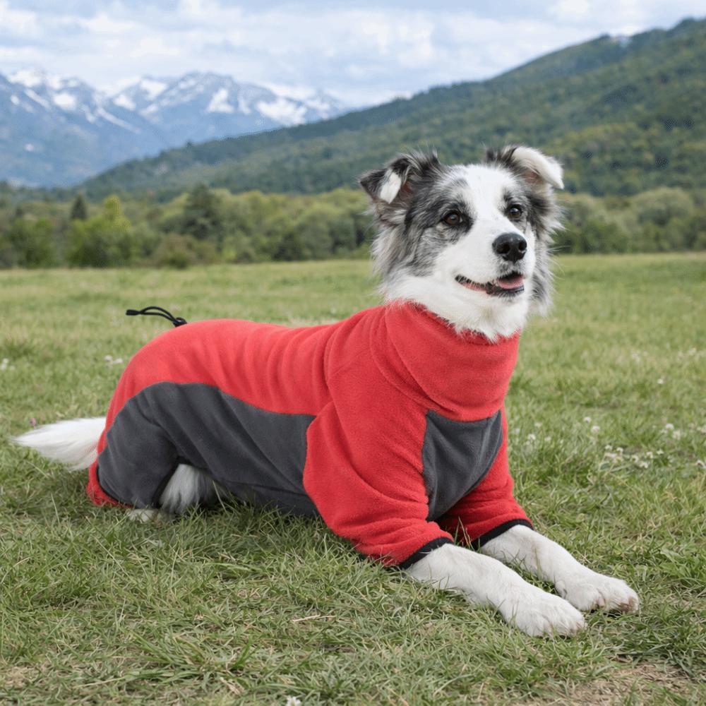 Windproof Fleece Dog Clothes Warm Four Legged Dog Suit Fashion Dog Sweater  Winter Season