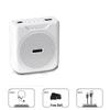 Little Bee Bluetooth Speaker & Amplifier for Teachers and Tour Guides