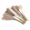 Boho Dried Flowers Bouquet Pampas Grass Dried Bunny Tail Grass Reed Grass Kit for Flower Arrangement Type 1