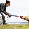 Dog Tug-of-war Toy Animal Design Toy with Knot Squeaky Chew Ball Interactive Tug Rope with Grip