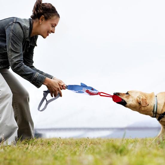 Dog Tug-of-war Toy Animal Design Toy with Knot Squeaky Chew Ball Interactive Tug Rope with Grip