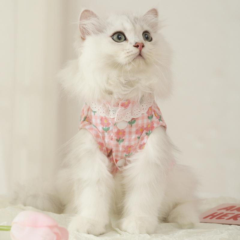Colete fino para gatos de verão: Roupas azuis antiqueda para gatinhos fofos