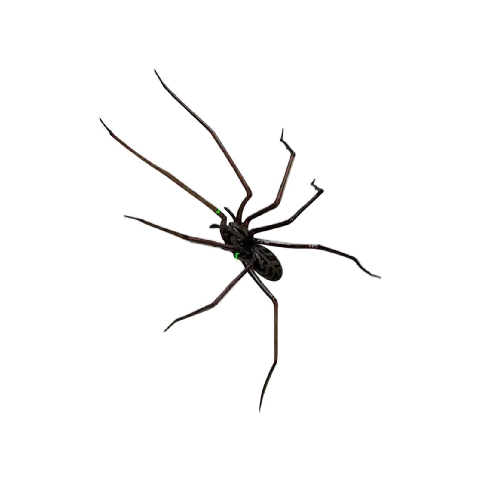 

Наклейка на холодильник «Паук», реалистичный магнит «Паук», милый дизайн «Паук», украшение на холодильник, съемные магнитные наклейки для использования в помещении и на улице One Size чёрный