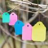 100pcs Reusable PVC Hanging Plant Tag with String Marker Signs Garden Label Garden Decoration Writable Flower Pot Marker Outdoor