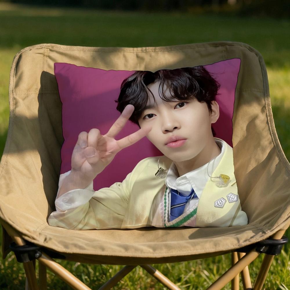 LLim Young WWoong Cushion Cover Soft Reversible Durable Pillow Cover MultiScene Use for Home Car Daily Comfort