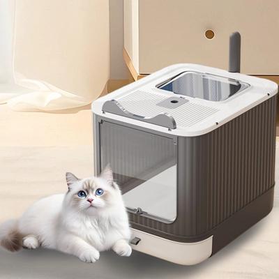 Katzen – Katzenpflege