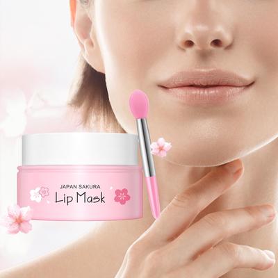Sakura Lip Serum Lips Mask Anti Dry Crack Peeling Repair Reduce Lip Fine Lines Essence Moisturizing Sakura Beauty Care 8g