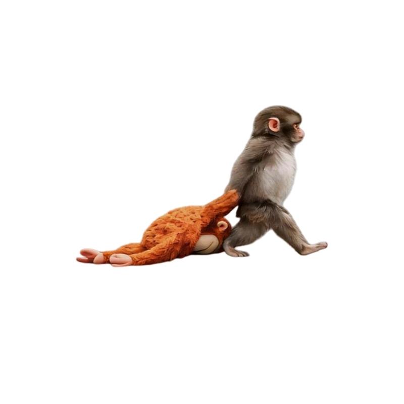 

Car Exterior Decal Car Window Funny Monkey Theme Sticker Decal Car Rear Window Decoration Stickers Decorative Accessories 6 inches