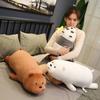 Three Bare Bears Plush Toy Bare Bear Doll Long Soft Pillow