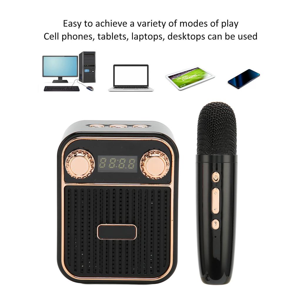 Karaoke Machine HiFi Stereo Sound Portable Speaker with Microphone for Kids Gifts