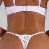 Spring Pure Desire Lace Thong: Hot-Selling European & American Sexy Plus Size Lingerie for Women