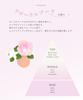 Kaminii Frizz Control Treatment Refill For frizz manages adds floral bouquet 350ml - control, frizz, shine, scent,