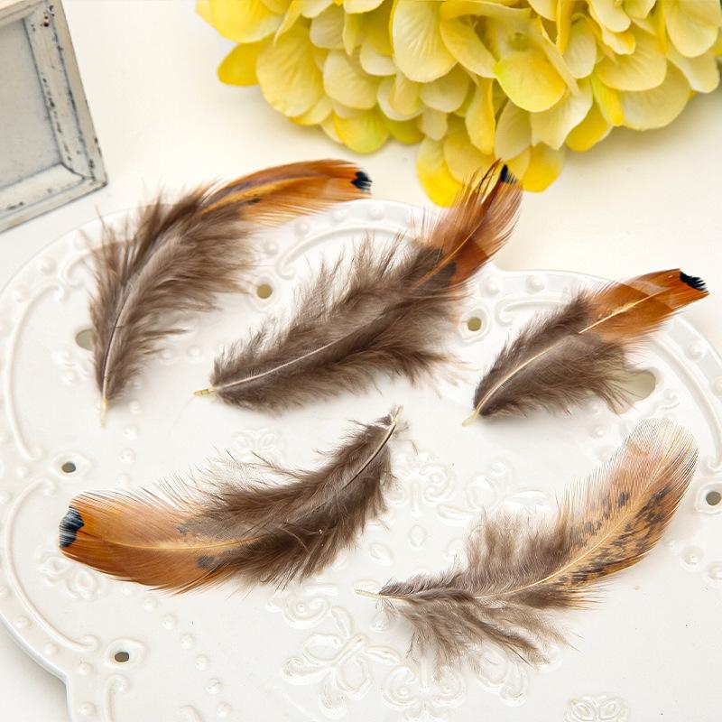 50Pcsdiy Jewelry Accessories Feather Diy Feather Headdress Corsage Hat Shoes Handicrafts Decorative Materials
